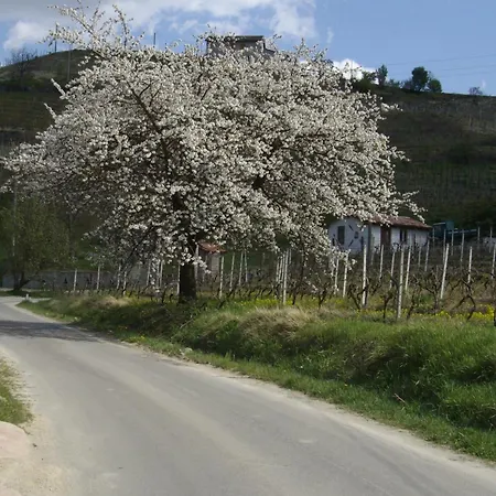 Séjour à la ferme La Martinella