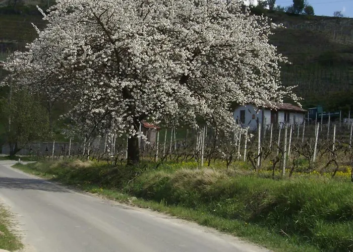 Lantgård La Martinella